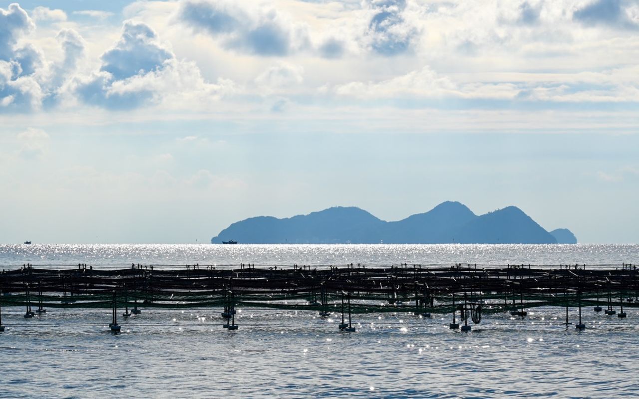 沖に並ぶ海苔ひびと瀬戸内の島影