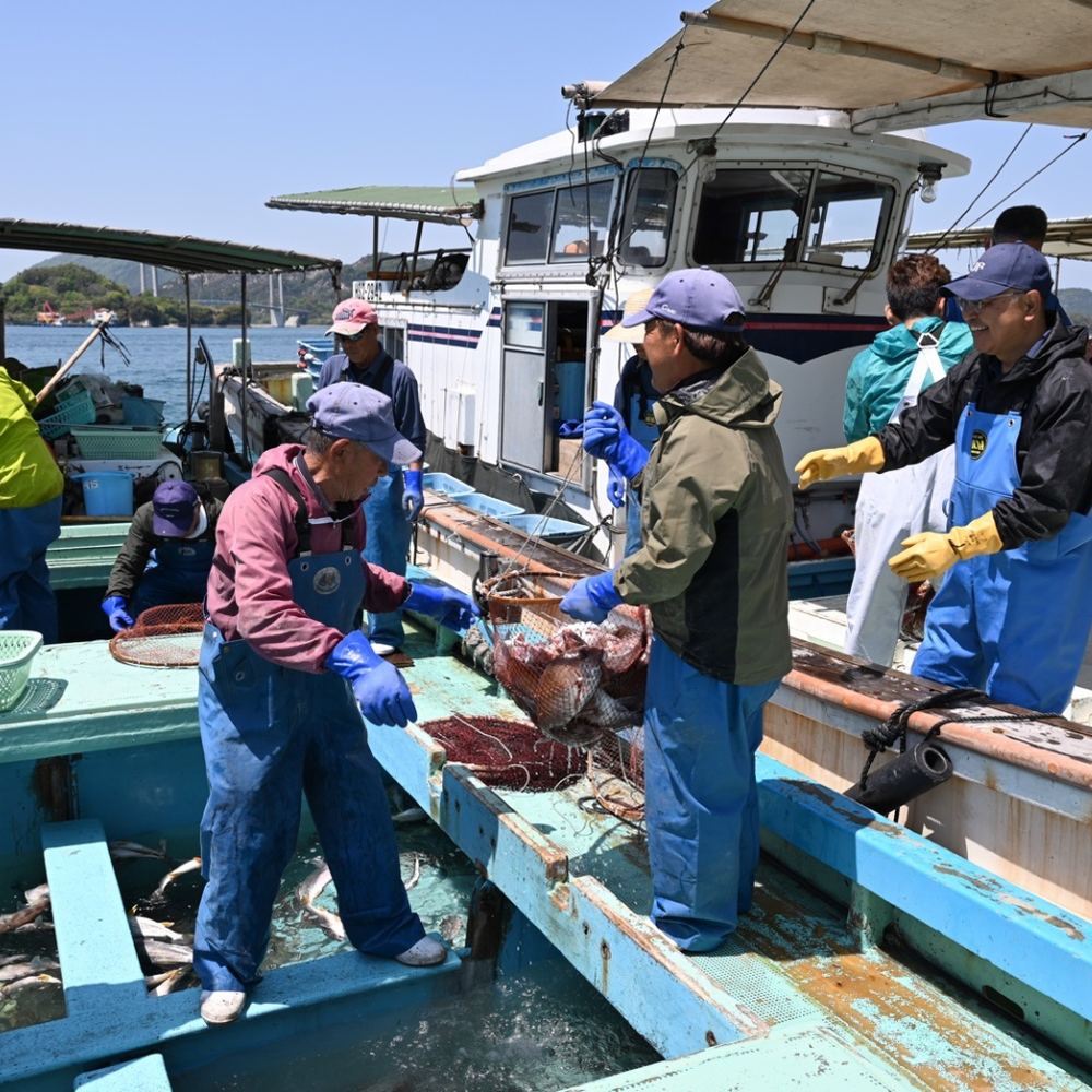 船上で水揚げした魚を選別する乗組員たち